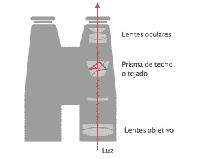 Ejemplo de prismaticos tejados