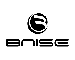logo bnise
