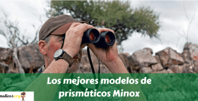 Los mejores modelos de prismáticos Minox