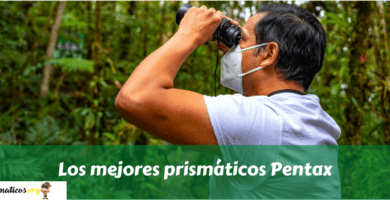 Los mejores prismáticos Pentax