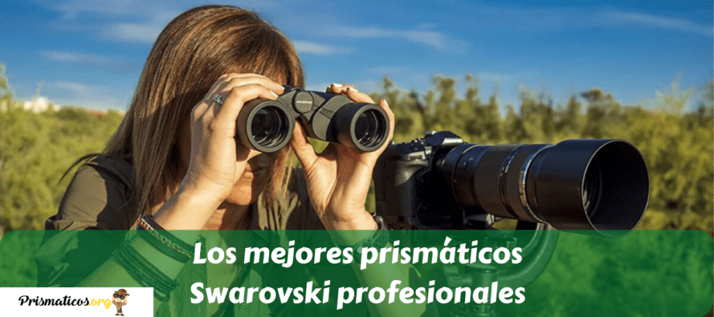 Los mejores prismáticos Swarovski profesionales