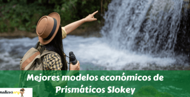 Mejores modelos económicos de Prismáticos Slokey (1)