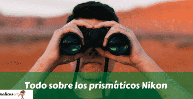 Todo sobre los prismáticos Nikon
